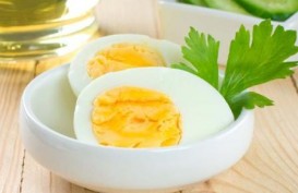 6 Manfaat Mengonsumsi Putih Telur bagi Kesehatan