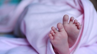 RI Masuk 5 Besar Penyumbang Bayi Tahun Baru 2018