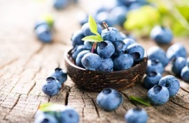 Blueberry Bisa Bantu Lawan Sel Kanker