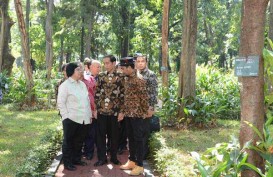 KLHK Gandeng Musisi Jaga Hutan Indonesia