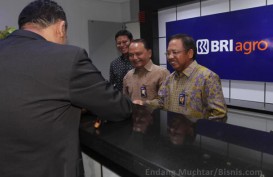 BRI Agro Matangkan Rencana Rights Issue