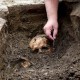 Arkeolog Temukan Temuan Penting di Peru