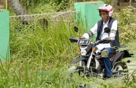 Pemda Diminta Turut Dorong Realisasi Perhutanan Sosial