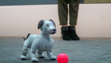 Robot Anjing Aibo Paling Terbaru Mulai Dipasarkan di Jepang