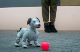 Robot Anjing Aibo Paling Terbaru Mulai Dipasarkan di Jepang