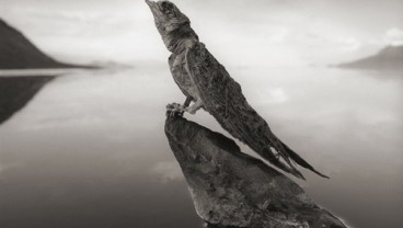 Danau Natron, Tempat Mematikan bagi Para Makhluk Hidup