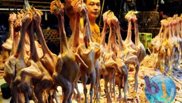 Pedagang Daging Ayam di Bandung akan Mogok Berjualan 3 Hari