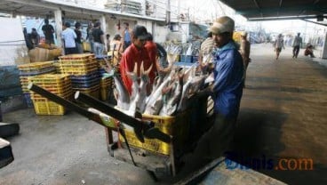 Moratorium Kapal Eks Asing Kerek Produksi Ikan Nasional