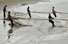 POLEMIK CANTRANG, Ini Respons Nelayan Atas Saran Beralih Alat Tangkap