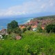 Nusa Penida Dijadikan Pusat Pelestarian Sapi Bali