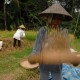 Petani di Madiun Keberatan Kebijakan Impor Beras