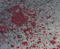 Pembunuhan Karyawati BPR, Polisi Kantongi Petunjuk