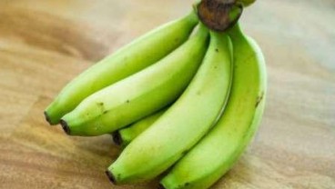 10 Manfaat Pisang yang Masih Hijau untuk Kesehatan