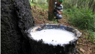 Harga Karet Tertekan Apresiasi Yen & Cadangan Tinggi