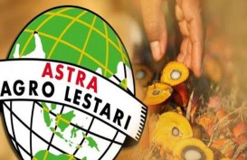 Produksi Sawit Astra Agro Lestari 2017 Capai 5,22 Juta Ton