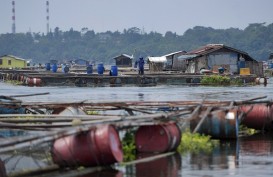 Penjualan Pakan Ikan 2018 Diprediksi Stagnan