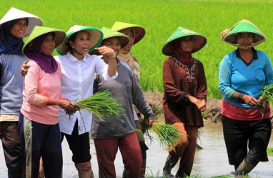 MUSIM TANAM : Pupuk Indonesia Percepat Distribusi