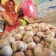 Indonesia Berpotensi Alami Kelangkaan Bawang Putih 