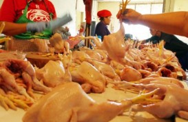Harga Daging Ayam di Yogyakarta Berangsur Turun