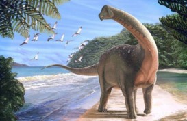 Fosil Dinosaurus Sebesar Bus Sekolah Ditemukan di Gurun Sahara