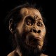 Fosil Homo Sapiens Tertua Ditemukan di Israel