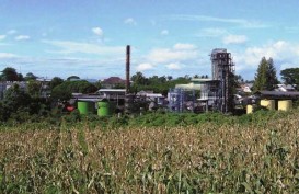 Molindo Group Investasi Boiler untuk Produksi Listrik
