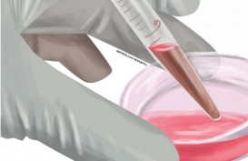 Produk Mengandung DNA Babi, Pharos Indonesia Ganti Pemasok 