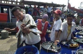 China Jadi Tujuan Ekspor Ikan Terbesar Bali