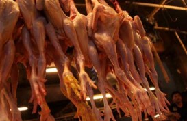 Kenaikan Harga Daging Ayam Kerek Inflasi DKI Januari 0,43%