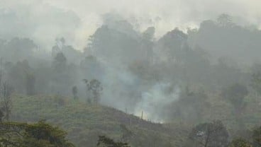 BMKG Pekanbaru Mendeteksi Belasan Titik Panas