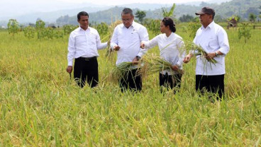INFLASI JANUARI : Bulog Agar Lebih Pacu Serapan