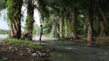 Kawasan Investasi Kebun dan Ternak Maros Diluncurkan