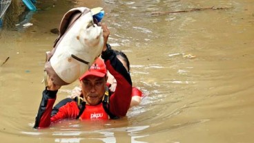 Pemerintah Yakin Banjir Jakarta Tak Akan Parah, Percaya?