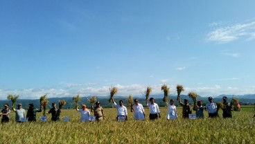 Mentan Laksanakan Panen Simbolis di Garut