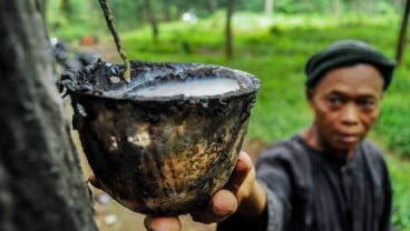 Bursa Karet Berjangka Berpotensi Melemah