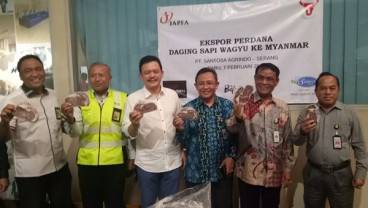 Anak Usaha Japfa Ekspor Daging Wagyu ke Myanmar