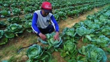 KARTU TANI, 200.000 Petani di Jateng Belum Menerima