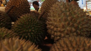 Durian Bali Diklaim Kuasai Pasar Jakarta