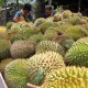 Produktivitas Rendah, Durian Bali Belum Berani Ekspor