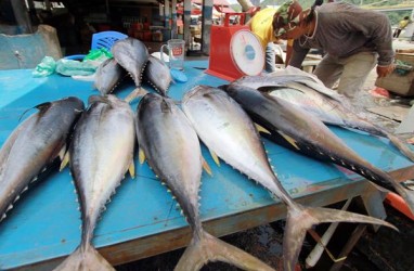 Pasar Ikan Muara Baru Akan Tiru Cara Mengolah Ikan Seperti di Jepang