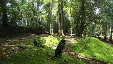 Kebun Raya Terbesar di Indonesia Ada di Sampit