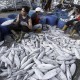 Perum Perindo Akan Belajar Manajemen Pasar Ikan Modern