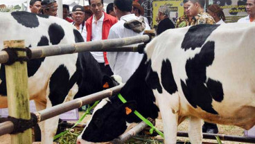 Indonesia-Brasil Jajaki Kerja Sama di Sektor Peternakan 