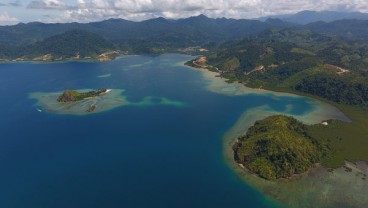 Menteri Darmin: Kawasan Ekonomi Khusus Sumatera Akan Saingi Singapura