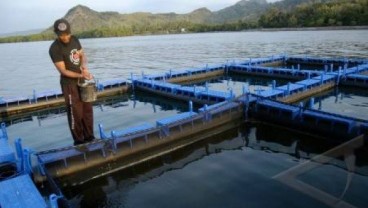 Cilacap Segera Tertibkan Jaring Apung Segara Anakan