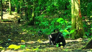 POTENSI EKONOMI BARU : Mendorong Pariwisata Sulawesi Utara 