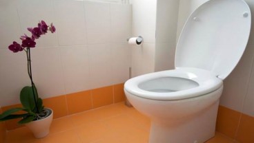 Demi Toilet, Janda Ini Rela Mengemis