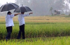 Presiden Jokowi Tinjau Aktivitas Padat Karya Tunai di Ambon