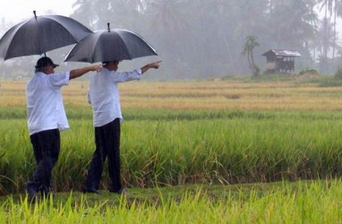 Presiden Jokowi Tinjau Aktivitas Padat Karya Tunai di Ambon