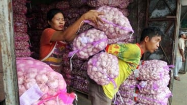 Produksi Bawang Putih Tertahan Persoalan Lahan